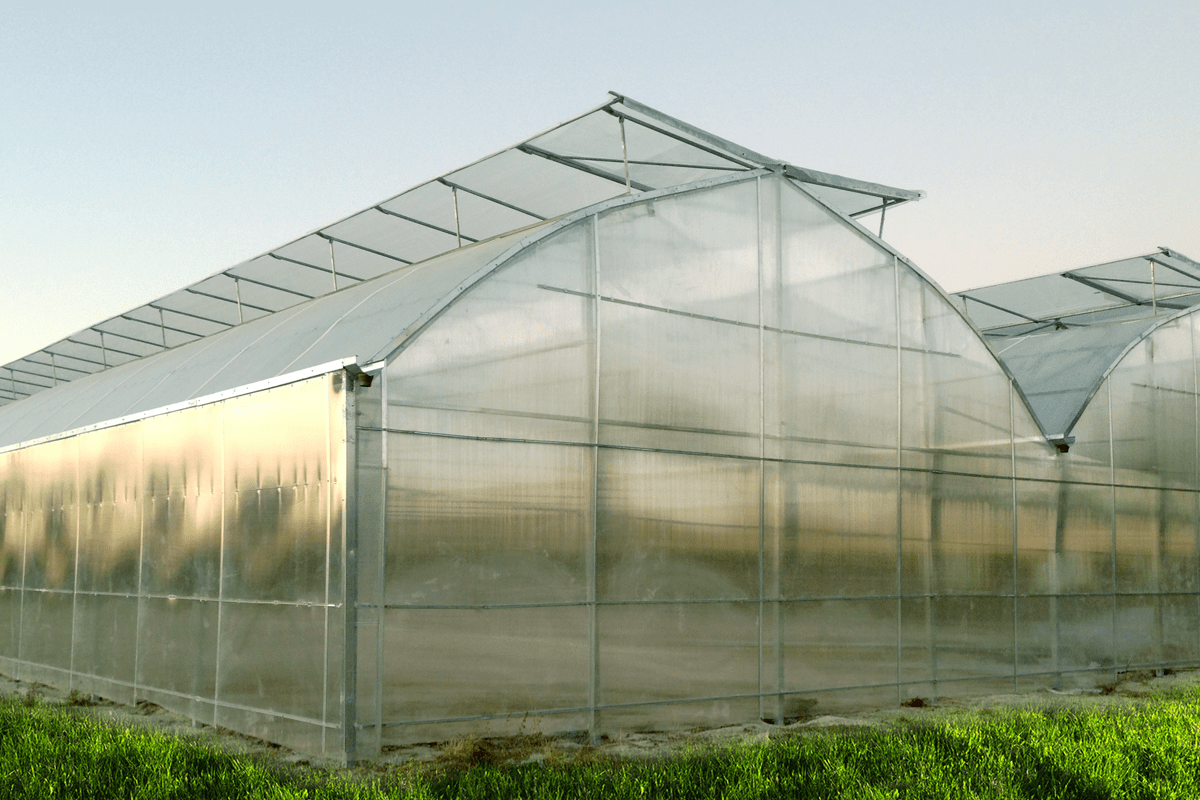 Kontrollü Yetiştirme: Seraların Sağladığı Avantajlar